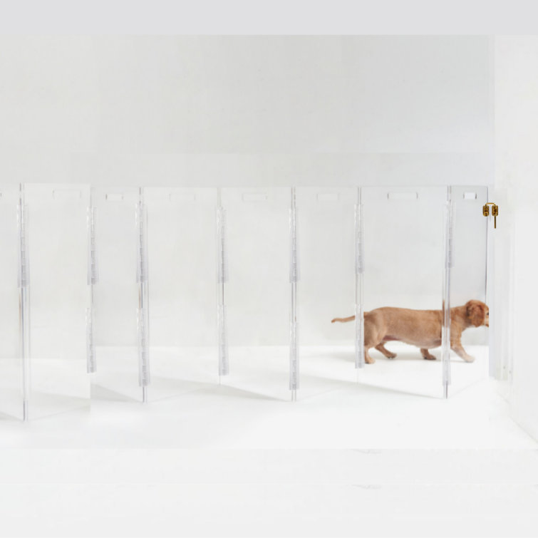 Hiddin Clear Zig Zag Pet Gate Wall Mounted Pet Gate with Gold Latch & Reviews Wayfair